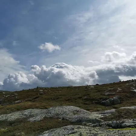 Hoyfjellshytte *