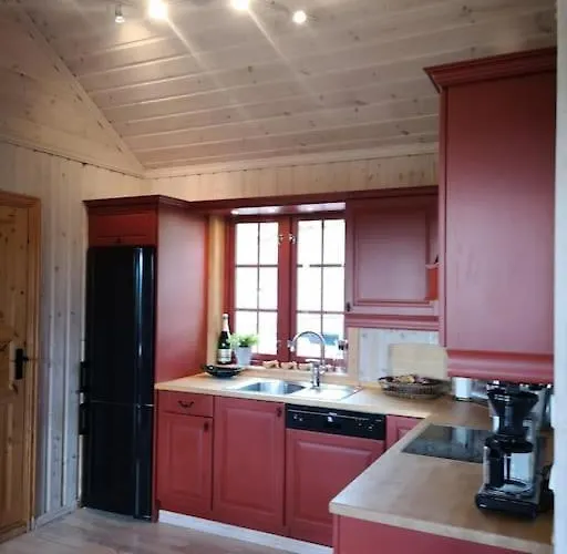 Høyfjellshytte * Flå