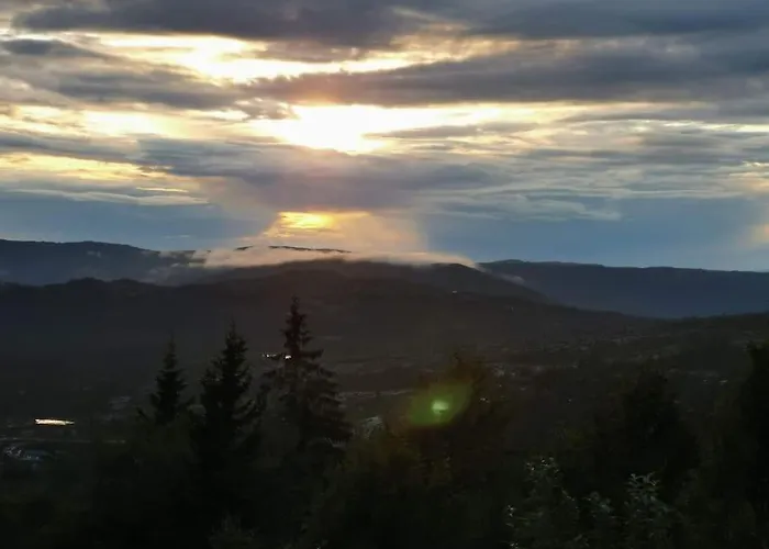 Feriehus Høyfjellshytte *