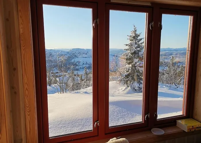 Høyfjellshytte * Flå