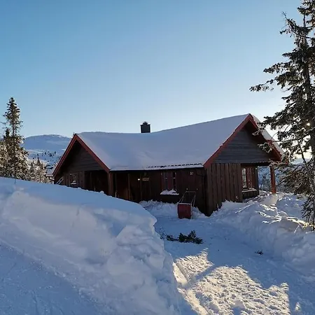 Holiday home Hoyfjellshytte Fla